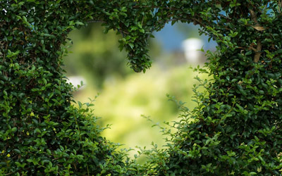 Gartenarbeiten und Gartenpflege